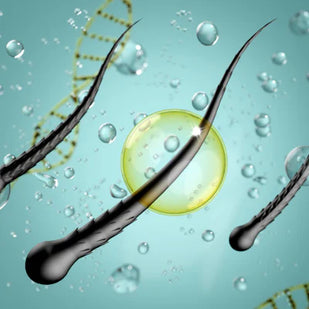 Peptide Complex