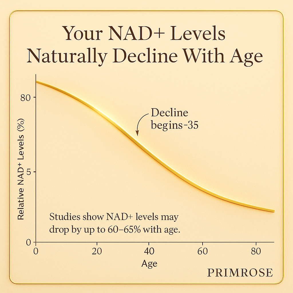 Why Nad+ is the Key to Staying