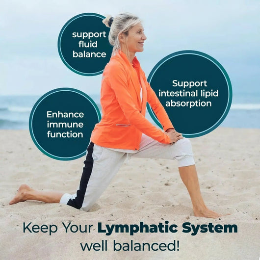 Lymphatic Support Supplements