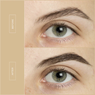 Primrose – Brow Lifting Serum