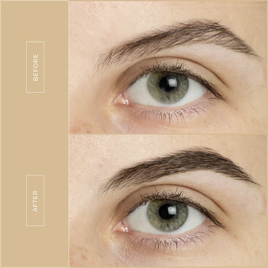 Primrose – Brow Lifting Serum